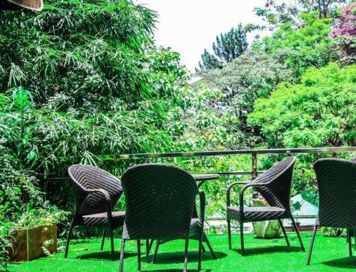 Swiss Lenana Mount Hotel showing green environment