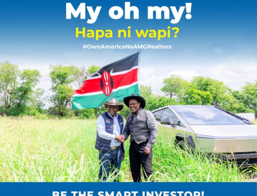 An image showing two men standing alongside land for sale