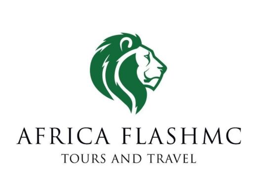 Africa Flash McTours and Travel logo