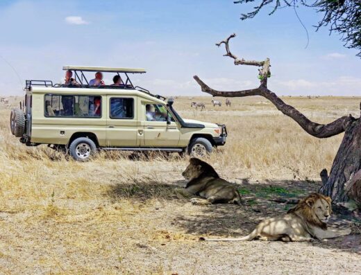 African Sermon Safaris showing tourists in a van