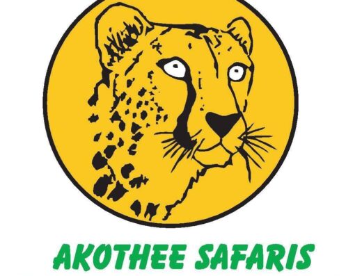 Akothee Safaris Tours & Travel Company logo