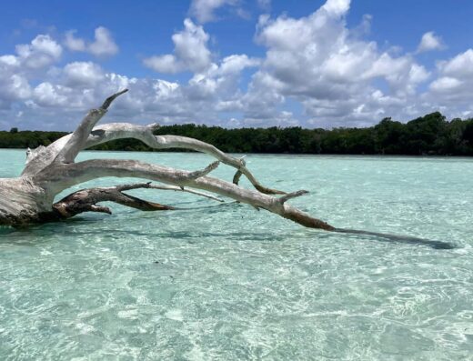 Bienvenido Kenya Tours & Safaris showing water