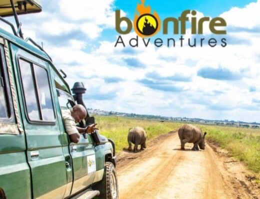 Bonfire Adventures & Events Limited showing tourists taking photographying some animals on the road
