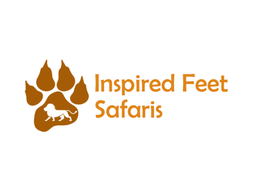 Inspired Feet Safaris logo