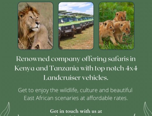 Nahdy Travel and Tours showing its profile