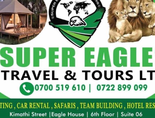 Super Eagles Travel and Tours Limited showing logo with some contact information
