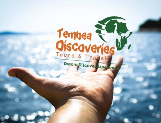 Tembea Discoveries Tours & Travel showing their logo
