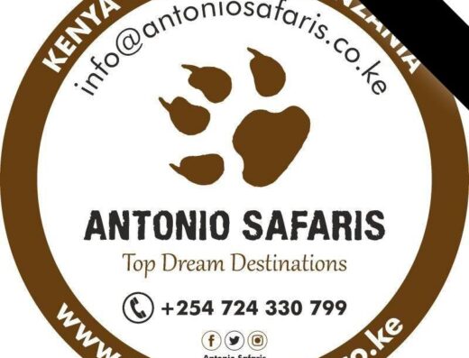Antonio Safaris showing its logo