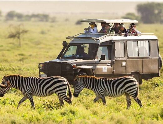 Baboon Budget Safaris showing a tourist vehicle photographing zebras