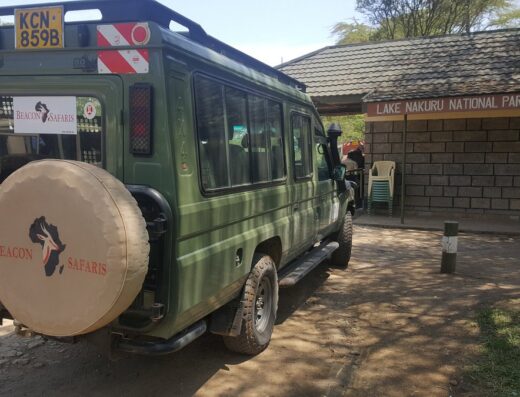 Beacon Safaris showing tourists vehicles