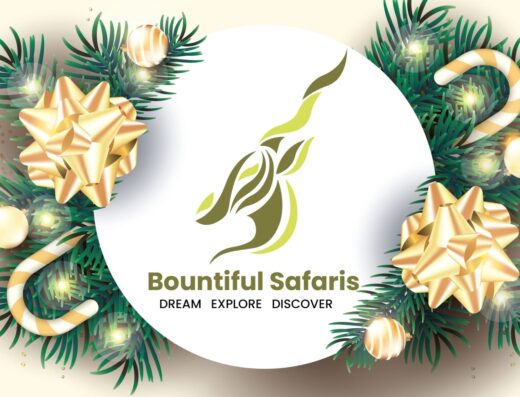 Bountiful Safaris & Tours showing its decorated logo