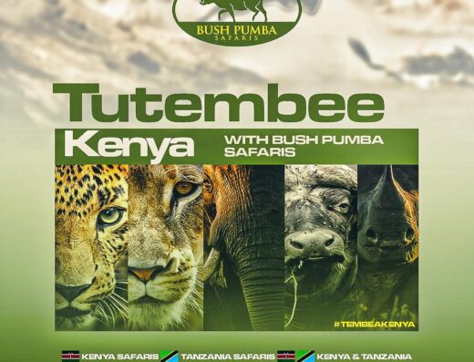 Bush Pumba Safaris showing its logo