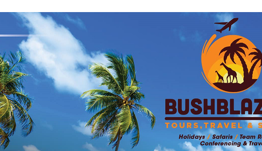 Bushblazers Tours Travel & Safaris logo