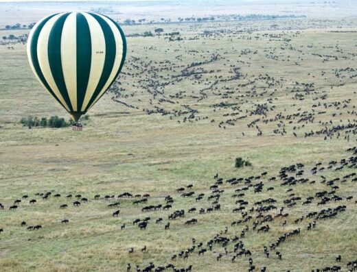 CKC Tours & Travel showing hot air balloon