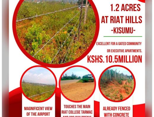 An image showing plots of Desh Investment