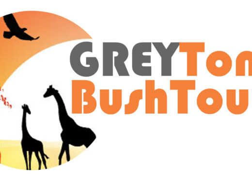 Greytone Bush Tours showings its logo