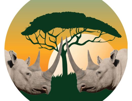 Inside Africa Budget Safaris showing its logo
