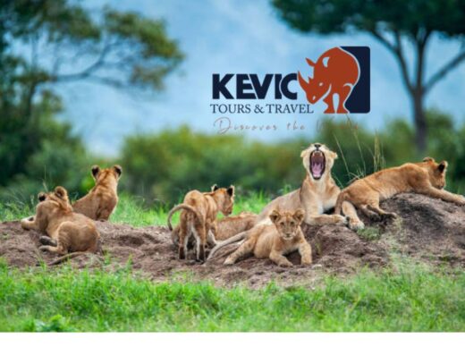Kevic Tours & Travel showing lions and a logo