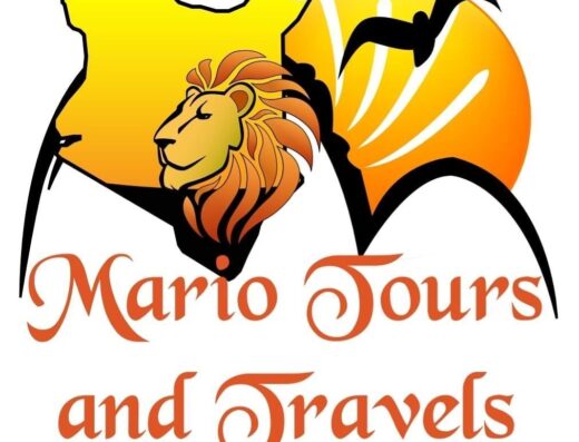 Mario Tours & Travels showing its logo