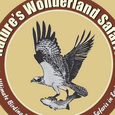 Nature's Wonderland Safaris showing its logo