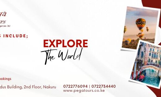 PEGA Tours Safari and Travel Agency showing its services and logo