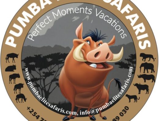 PUMBA ELITE SAFARIS showing the logo