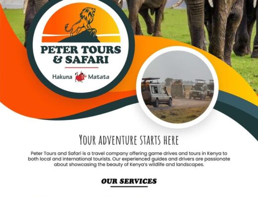 Peter Tours N Safaris showing its logo with some of its services