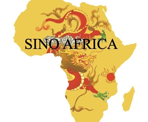 Sino Africa Safari showing its logo