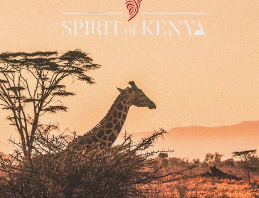Spirit of Kenya showing a logo amd a giraffe