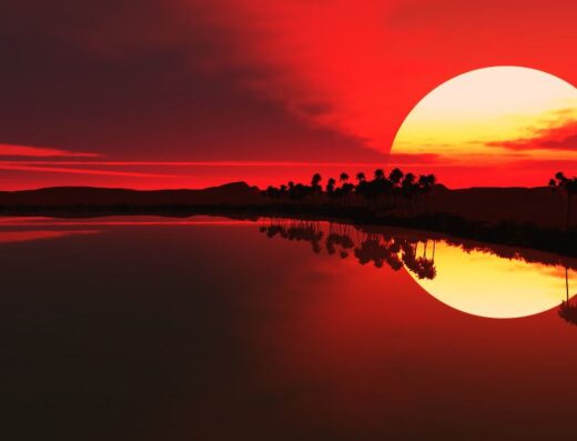 Tropical Wild Expeditions showing a beautiful sunset view