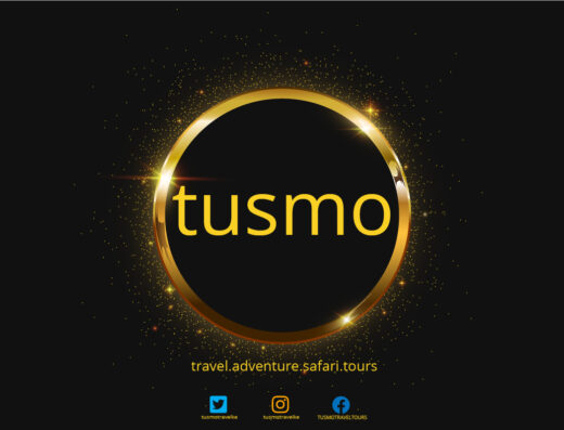 Tusmo Travel Tours And Cargo Limited showing its designed name