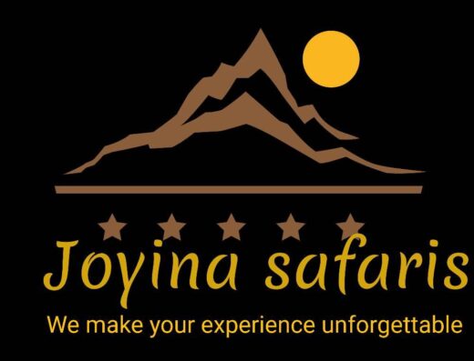 Joyina Safaris Africa showing its dark background logo
