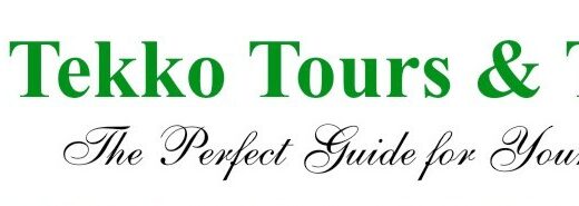 Tekko Tours & Travel showing its name and logo