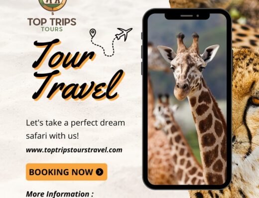 Top Trips Tours and Travel showing its contact information