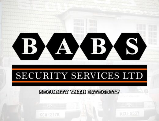 Babs Security Group logo